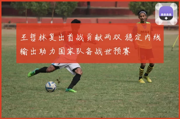 王哲林复出首战贡献两双 稳定内线输出助力国家队备战世预赛