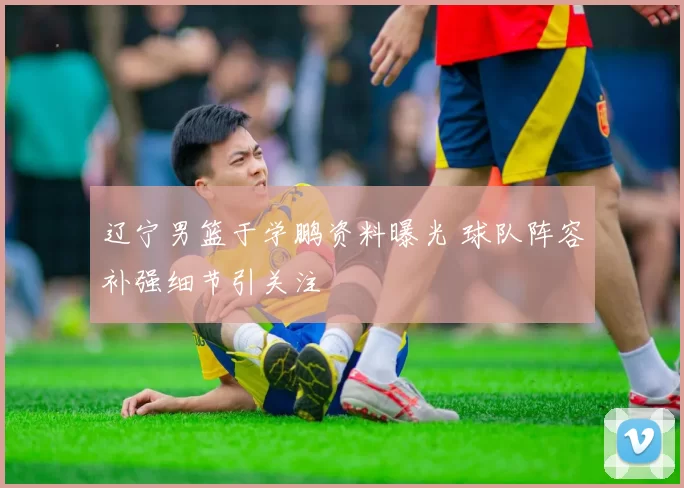 辽宁男篮于学鹏资料曝光 球队阵容补强细节引关注