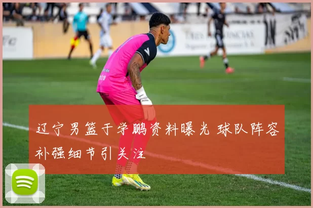 辽宁男篮于学鹏资料曝光 球队阵容补强细节引关注