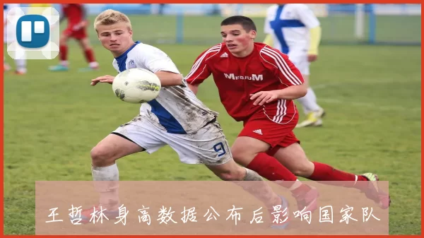 王哲林身高数据公布后影响国家队内线轮换、季前备战与战术调整