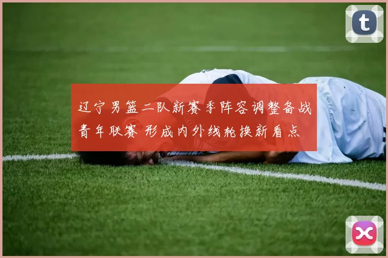 辽宁男篮二队新赛季阵容调整备战青年联赛 形成内外线轮换新看点