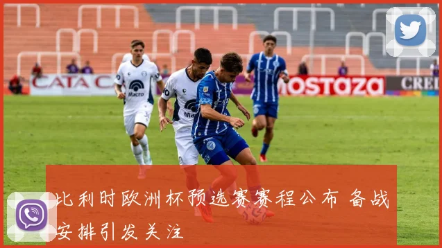 比利时欧洲杯预选赛赛程公布 备战安排引发关注