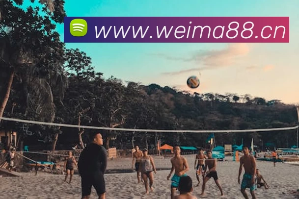 多媒体互动体验